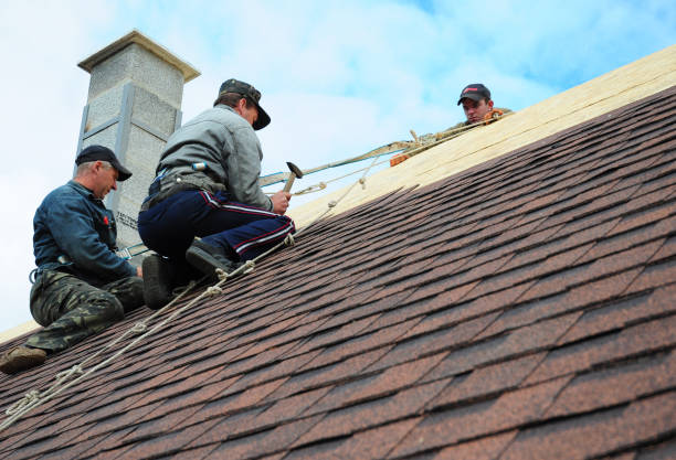 Best Residential Roofing Contractor  in Hamilton, GA